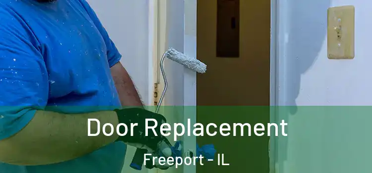  Door Replacement Freeport - IL