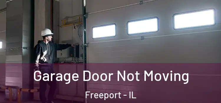  Garage Door Not Moving Freeport - IL