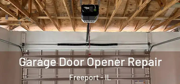 Garage Door Opener Repair Freeport - IL