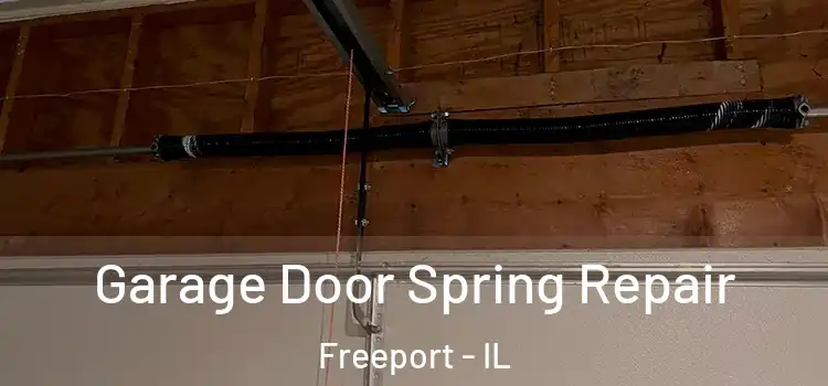  Garage Door Spring Repair Freeport - IL