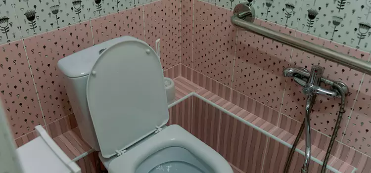 Meeting Diverse Needs With Accessible Restroom Solutions in Freeport, IL