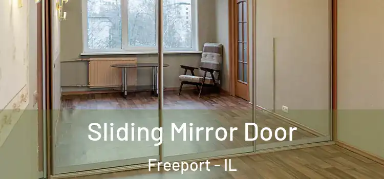  Sliding Mirror Door Freeport - IL
